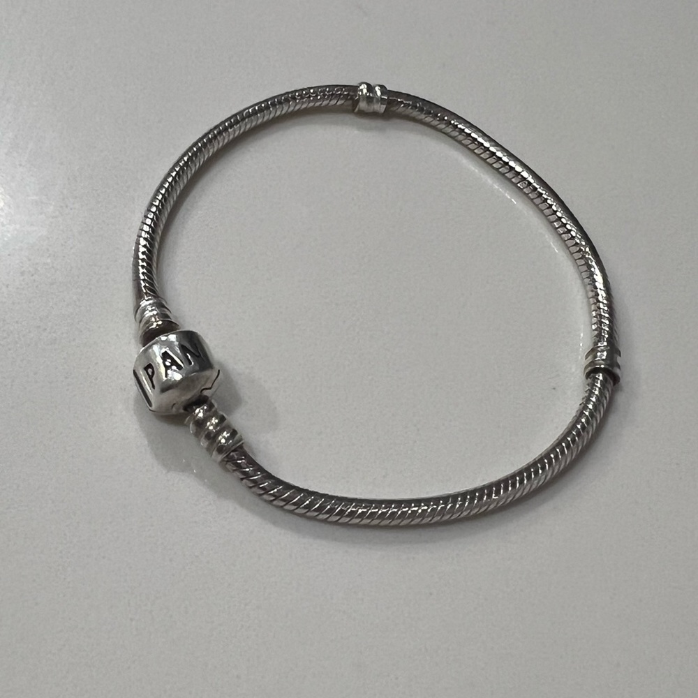 Pandora Charm Bracelet